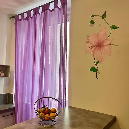 Apartment Hibiscus *